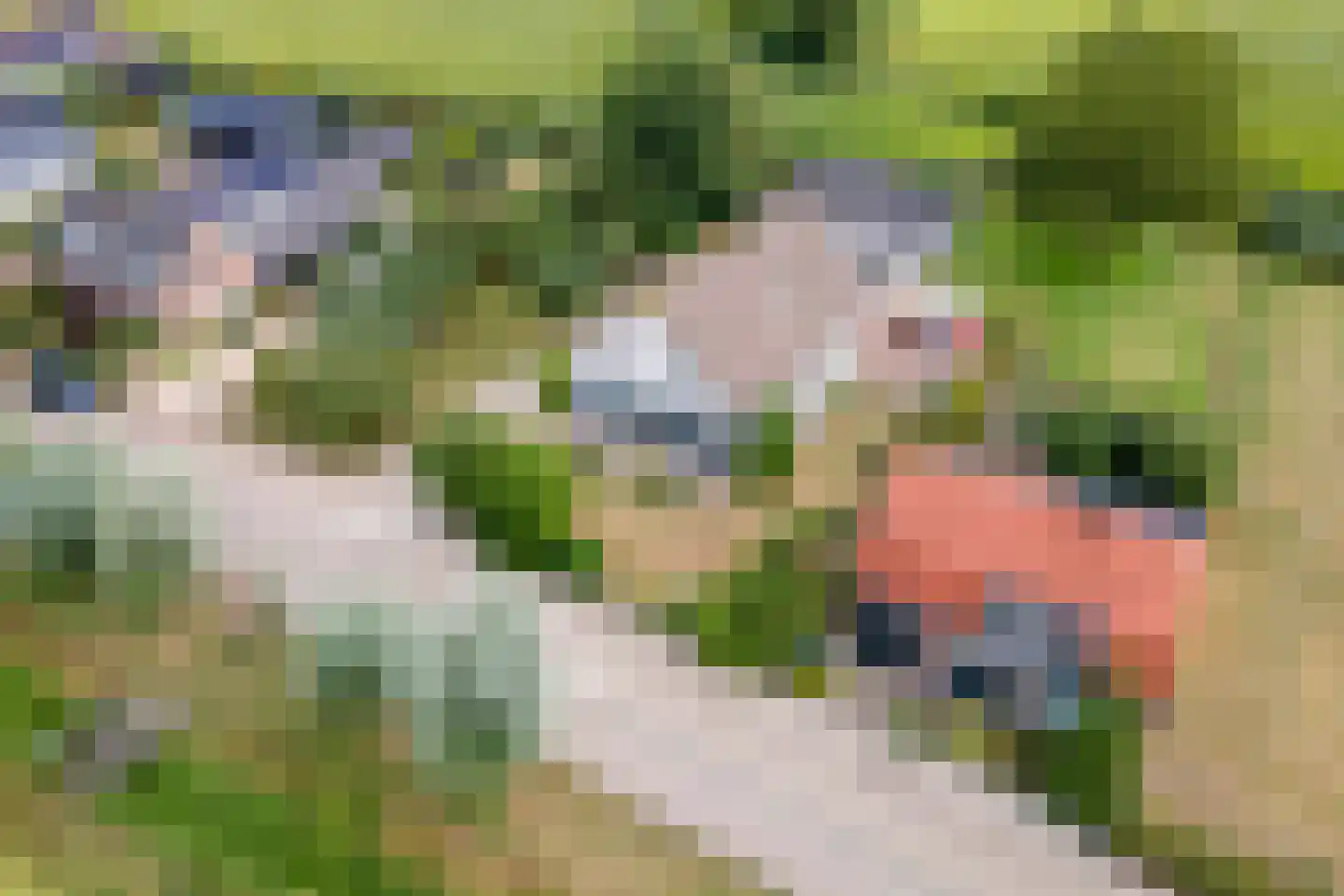 Ganssteeg 27 Beusichem thumbnail 50