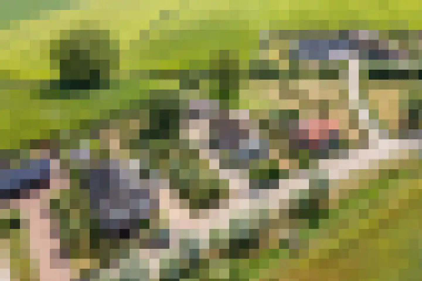 Ganssteeg 27 Beusichem thumbnail 51