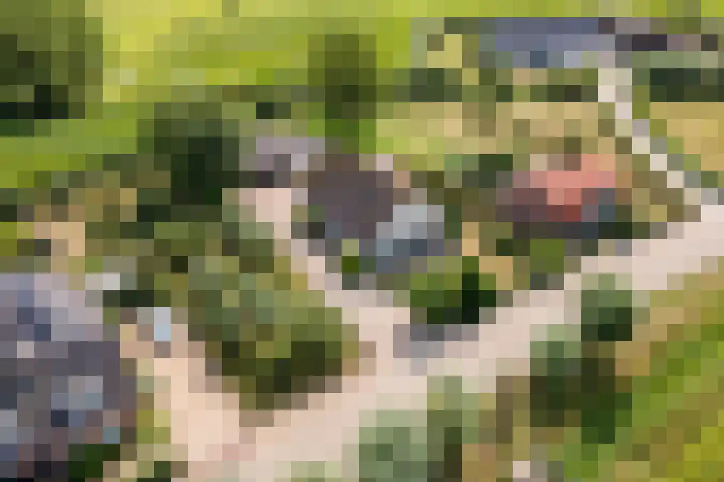 Ganssteeg 27 Beusichem thumbnail 52