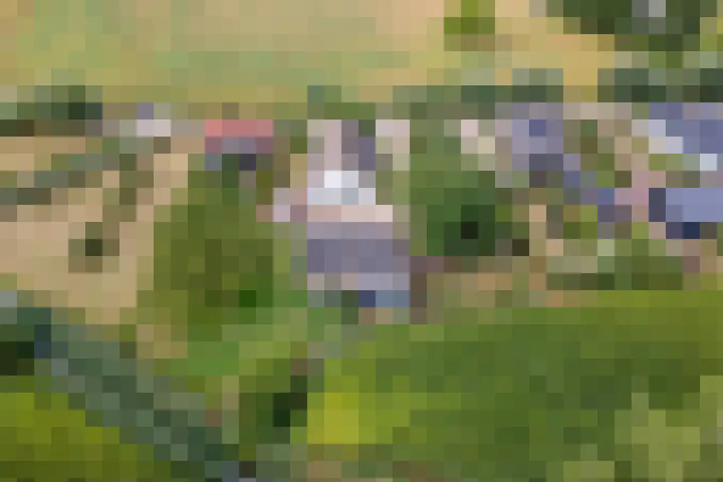 Ganssteeg 27 Beusichem thumbnail 53
