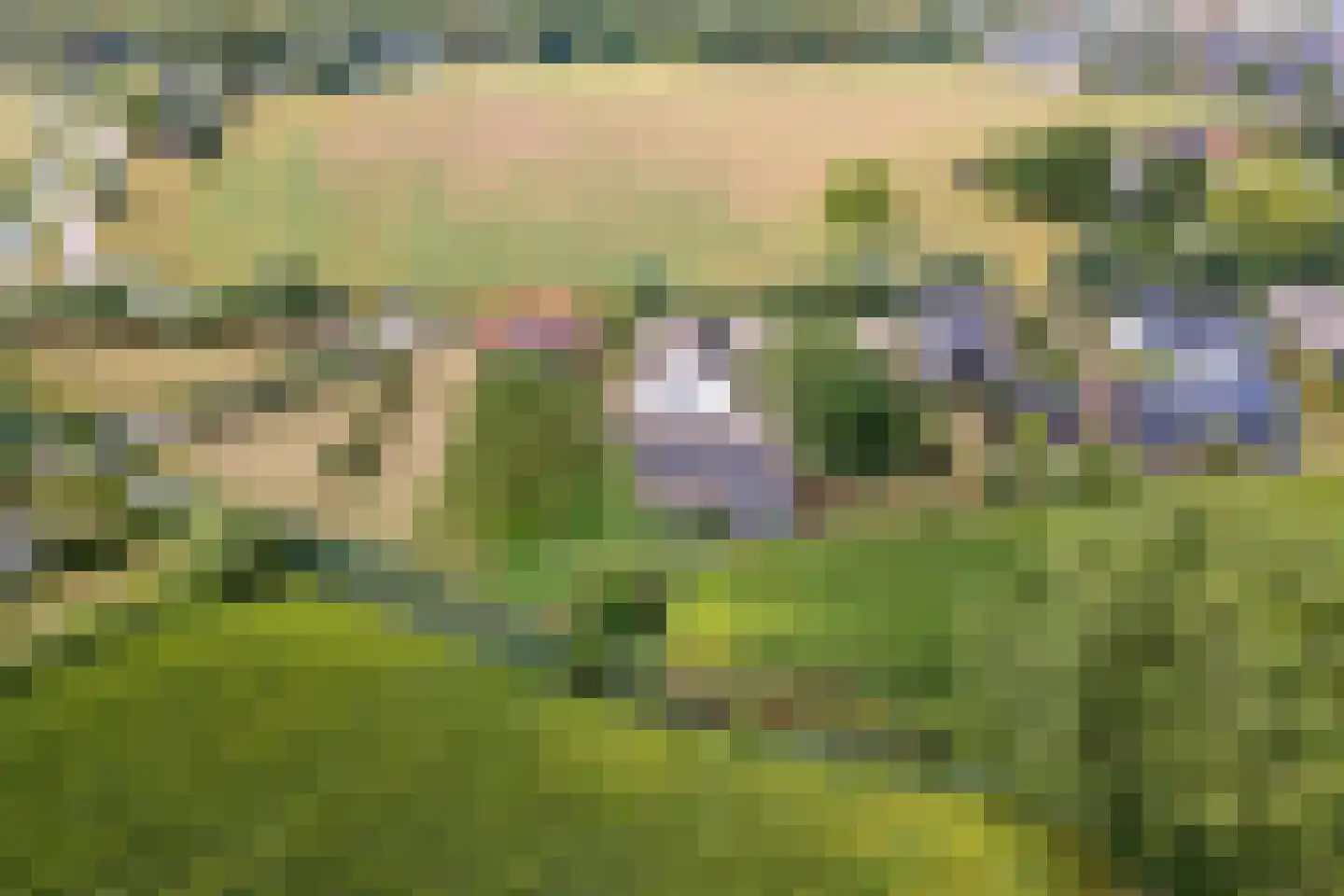 Ganssteeg 27 Beusichem thumbnail 54