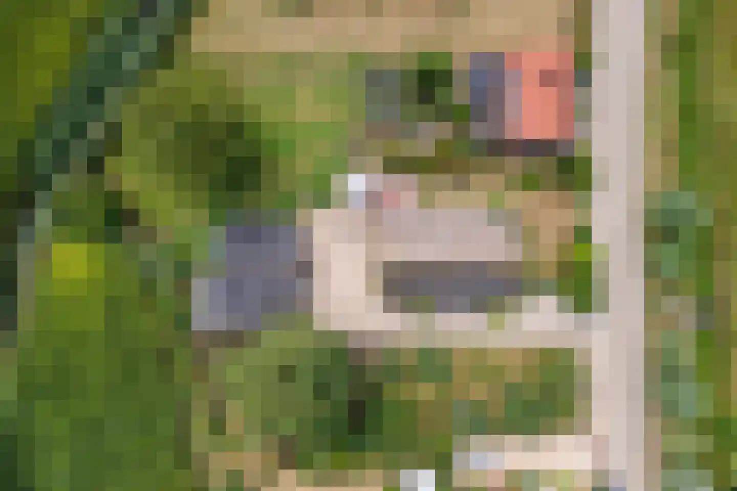 Ganssteeg 27 Beusichem thumbnail 55