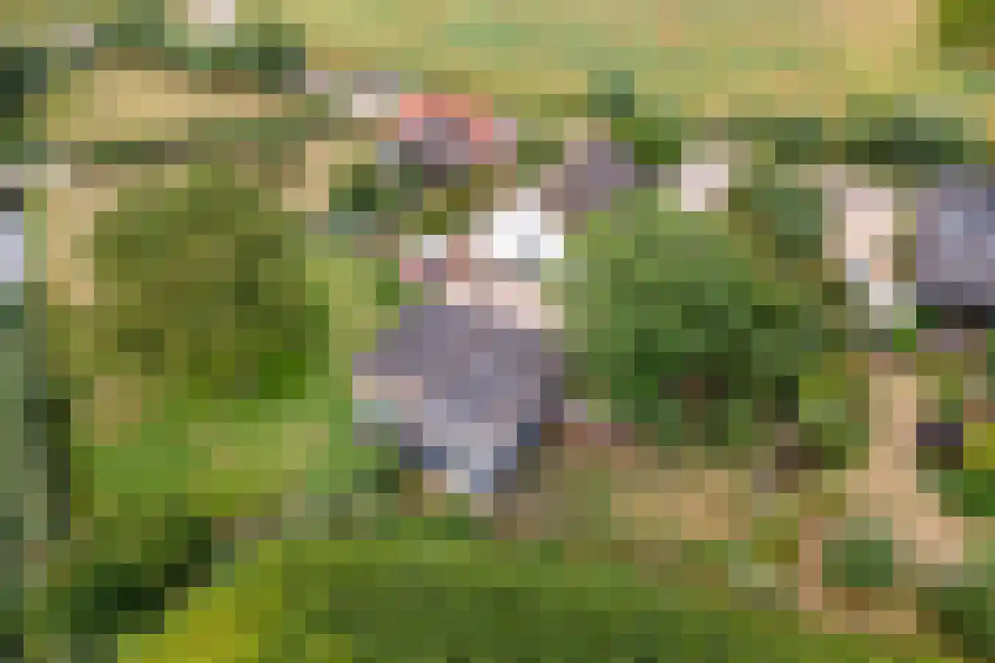 Ganssteeg 27 Beusichem thumbnail 56