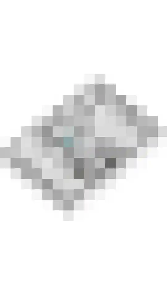 Ganssteeg 27 Beusichem thumbnail 59