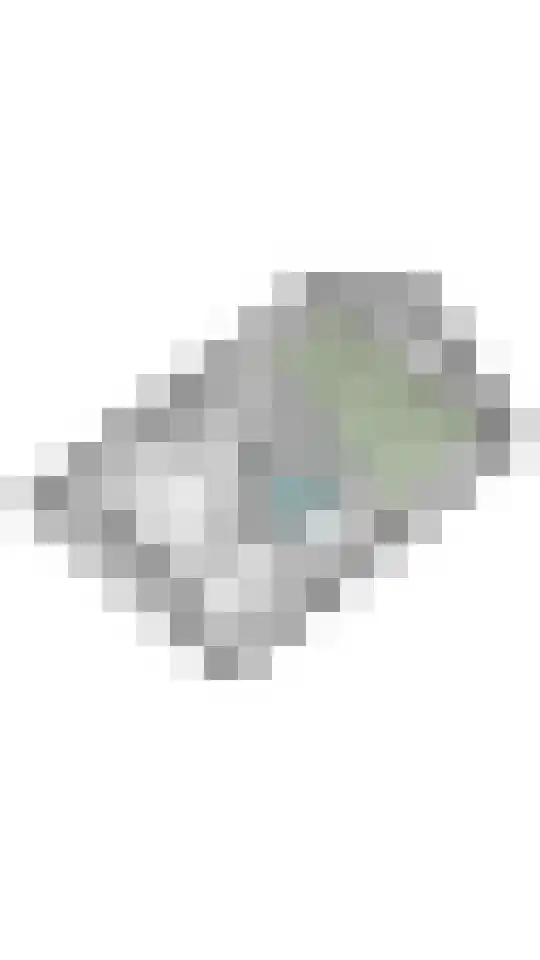 Ganssteeg 27 Beusichem thumbnail 61