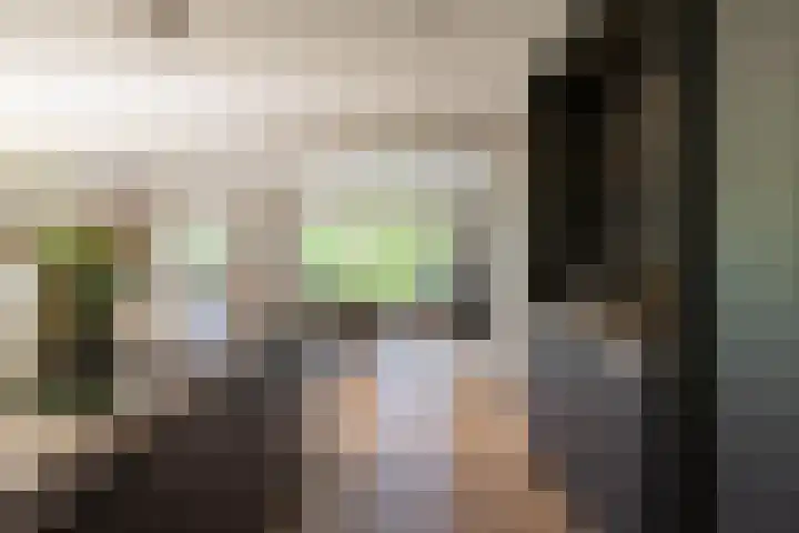 Ganssteeg 3 Beusichem thumbnail 12