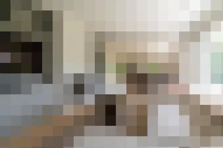 Ganssteeg 3 Beusichem thumbnail 17