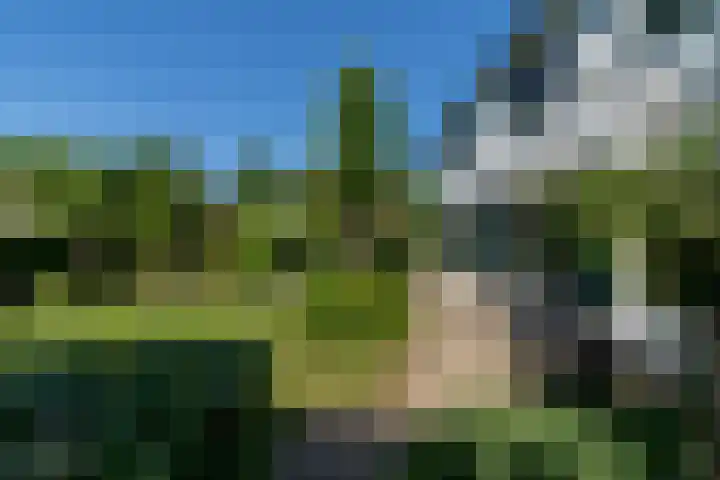 Ganssteeg 3 Beusichem thumbnail 20