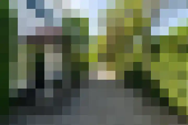 Ganssteeg 3 Beusichem thumbnail 24