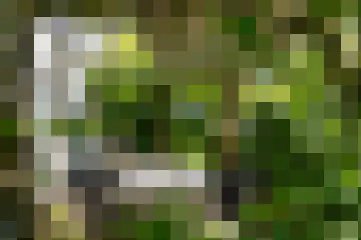 Ganssteeg 3 Beusichem thumbnail 26