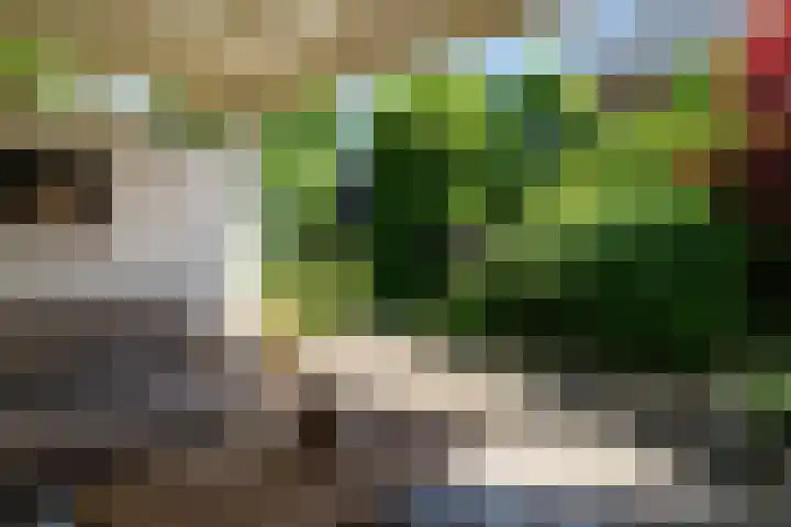 Ganssteeg 3 Beusichem thumbnail 29