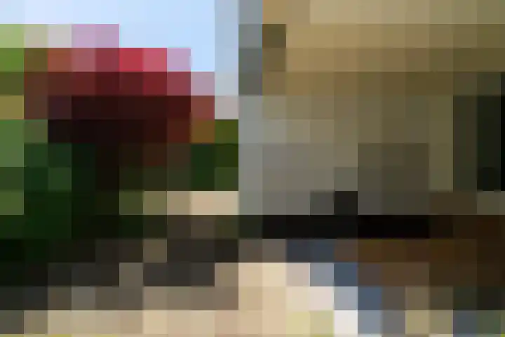 Ganssteeg 3 Beusichem thumbnail 30