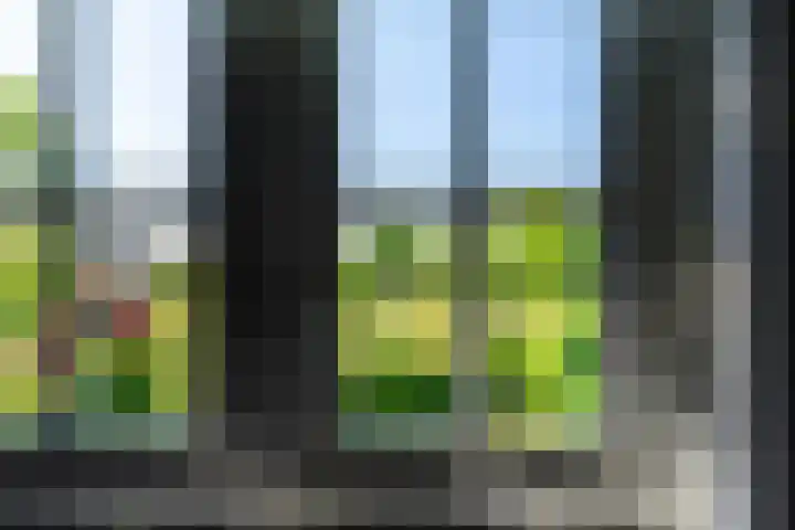 Ganssteeg 3 Beusichem thumbnail 58