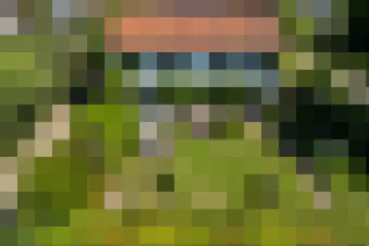 Ganssteeg 3 Beusichem thumbnail 61