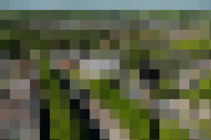 Ganssteeg 3 Beusichem thumbnail 66