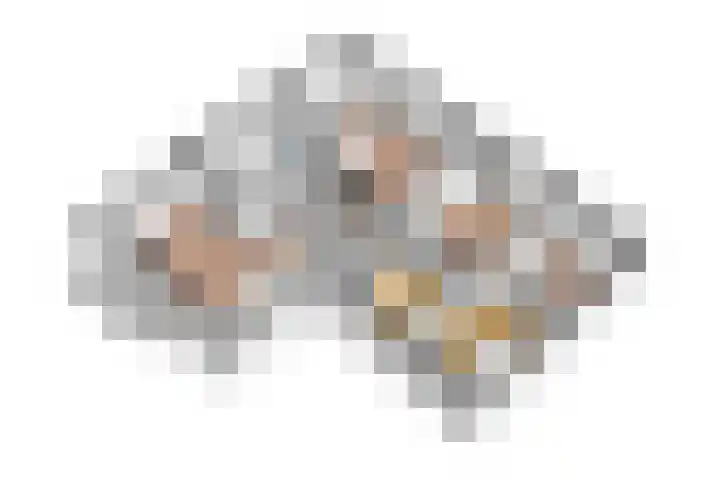 Ganssteeg 3 Beusichem thumbnail 72