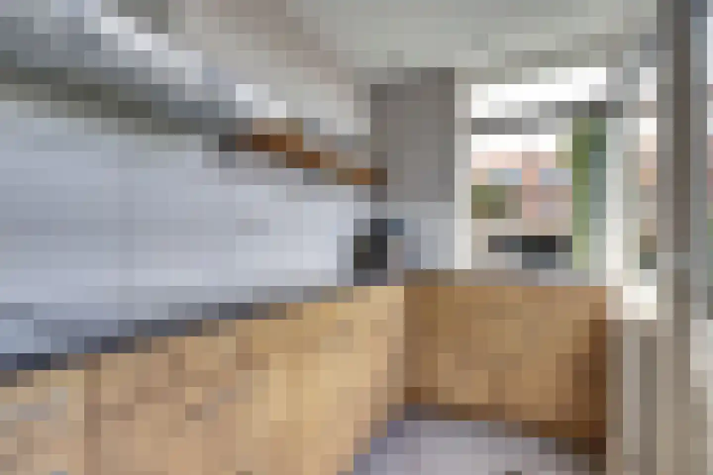 Gansstraat 11 Gouda thumbnail 17