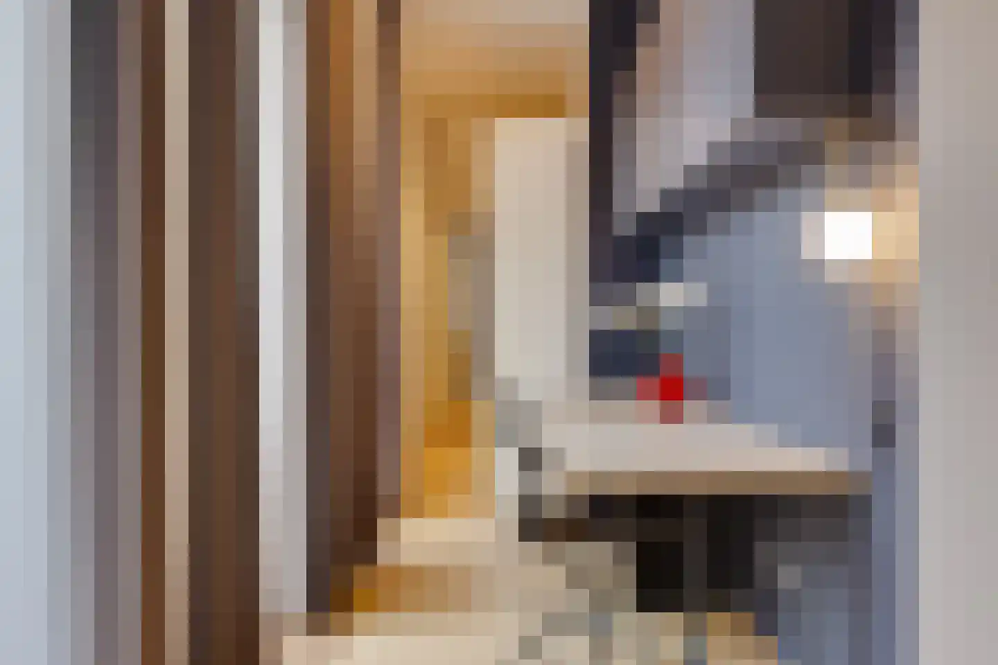 Gansstraat 11 Utrecht thumbnail 4