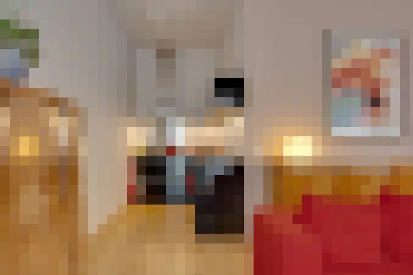 Gansstraat 11 Utrecht thumbnail 7