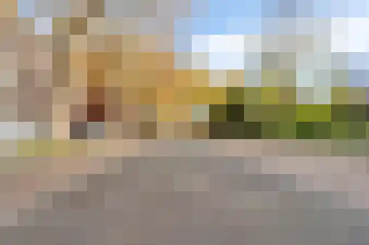 Gansstraat 156 C Utrecht thumbnail 39