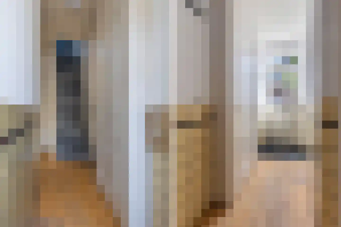 Gansstraat 21 Gouda thumbnail 13