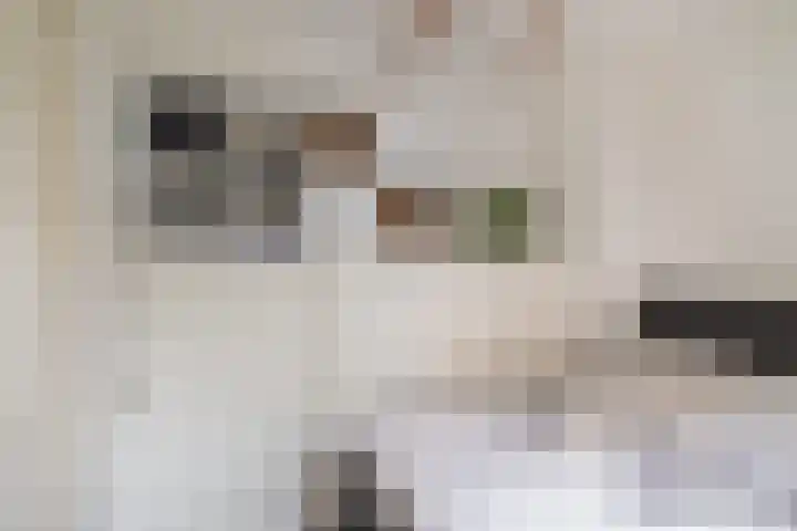 Gansstraat 22 Utrecht thumbnail 22