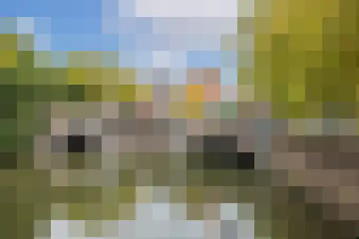 Gansstraat 22 Utrecht thumbnail 27