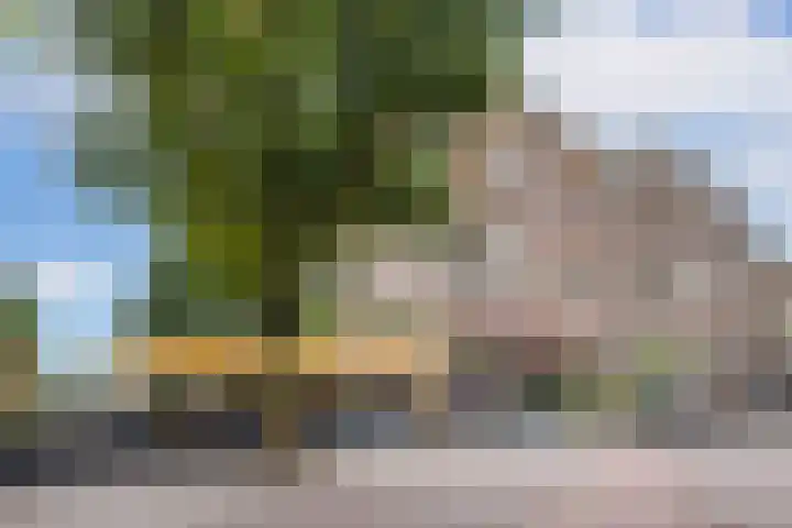 Gansstraat 22 Utrecht thumbnail 30