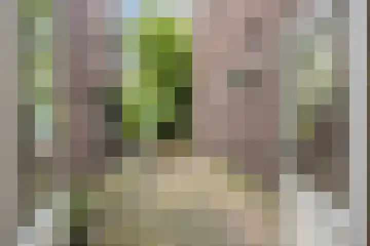 Gansstraat 22 Utrecht thumbnail 4