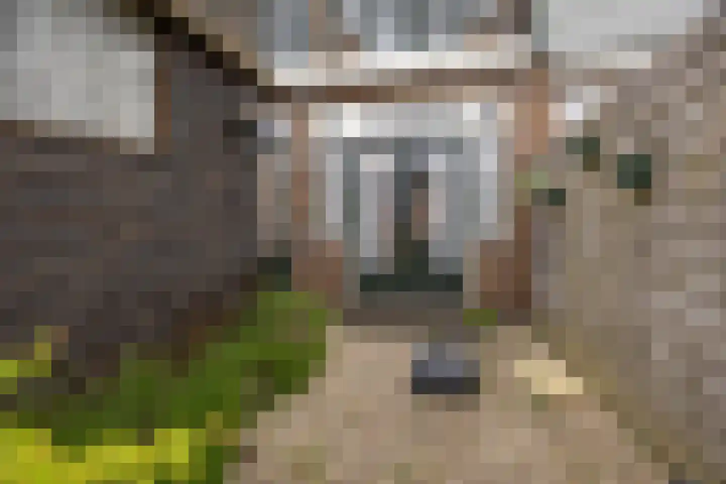 Gansstraat 25 Gouda thumbnail 12