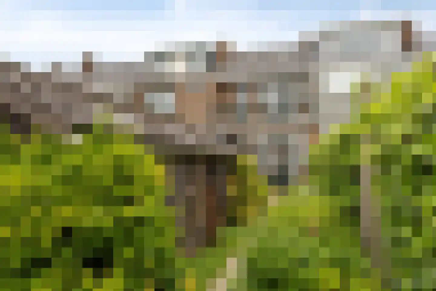 Gansstraat 25 Gouda thumbnail 13