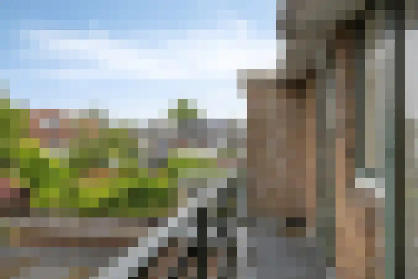 Gansstraat 25 Gouda thumbnail 23