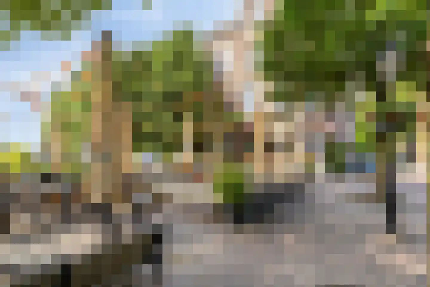 Gansstraat 38 Utrecht thumbnail 20