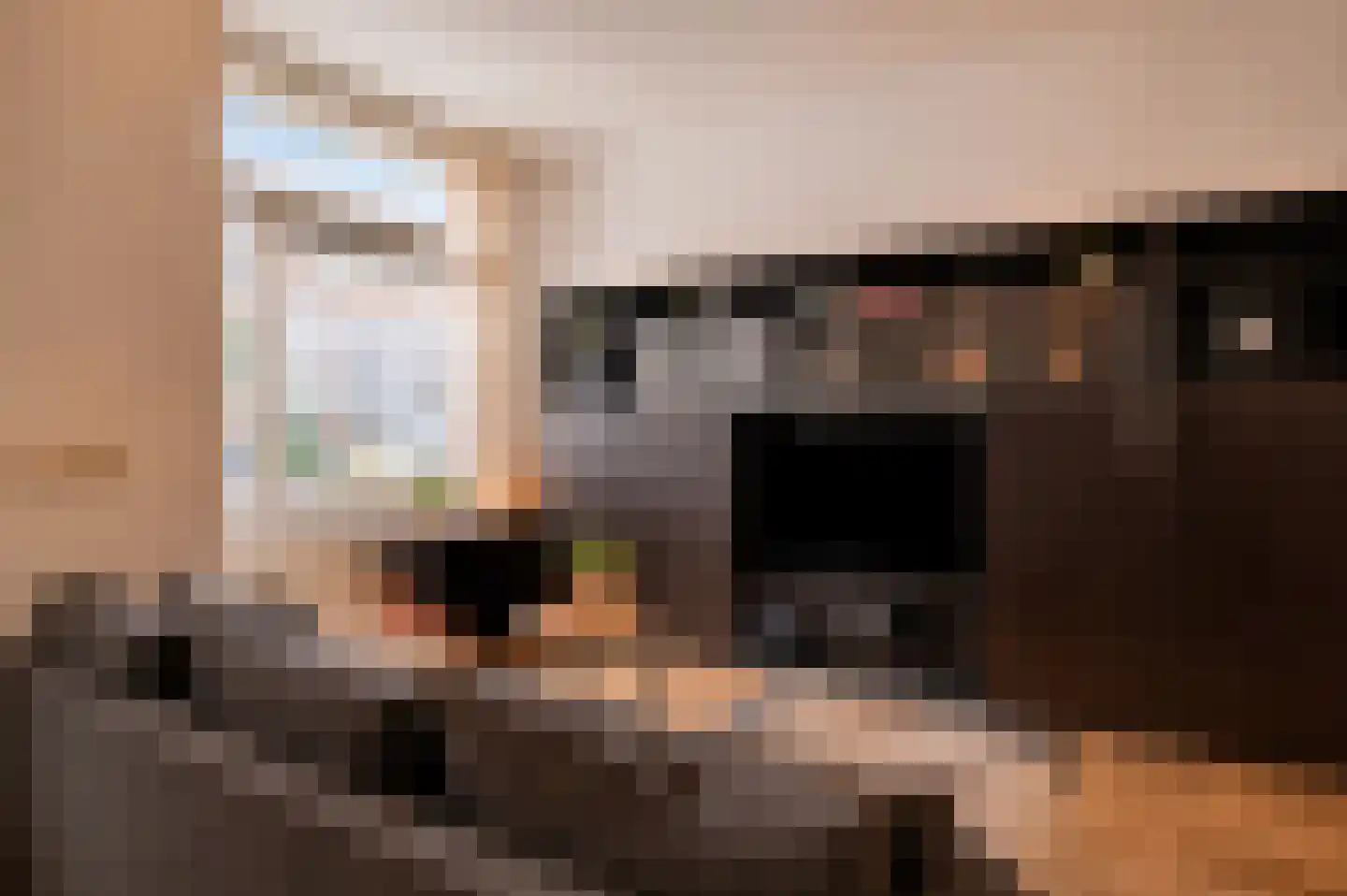 Gansstraat 38 Utrecht thumbnail 5