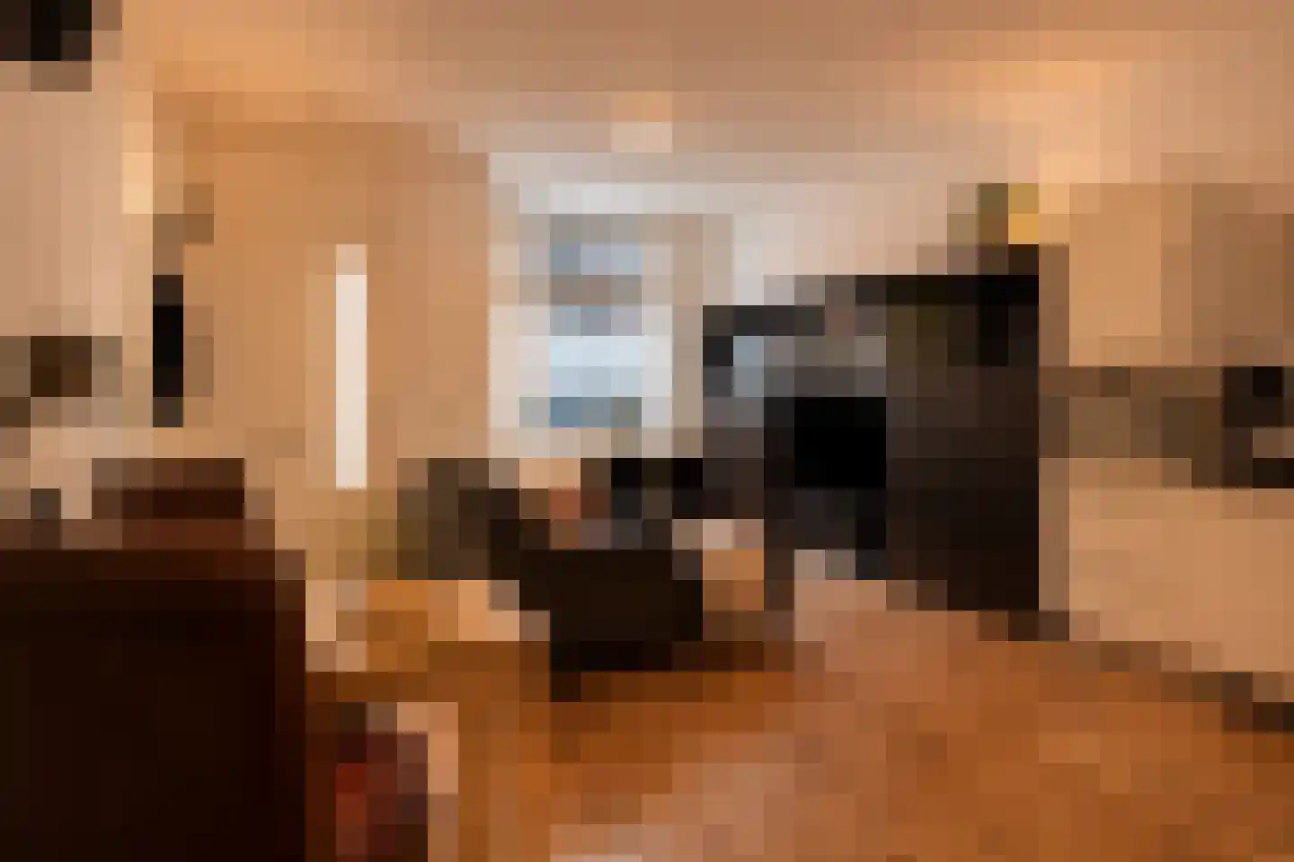 Gansstraat 38 Utrecht thumbnail 6