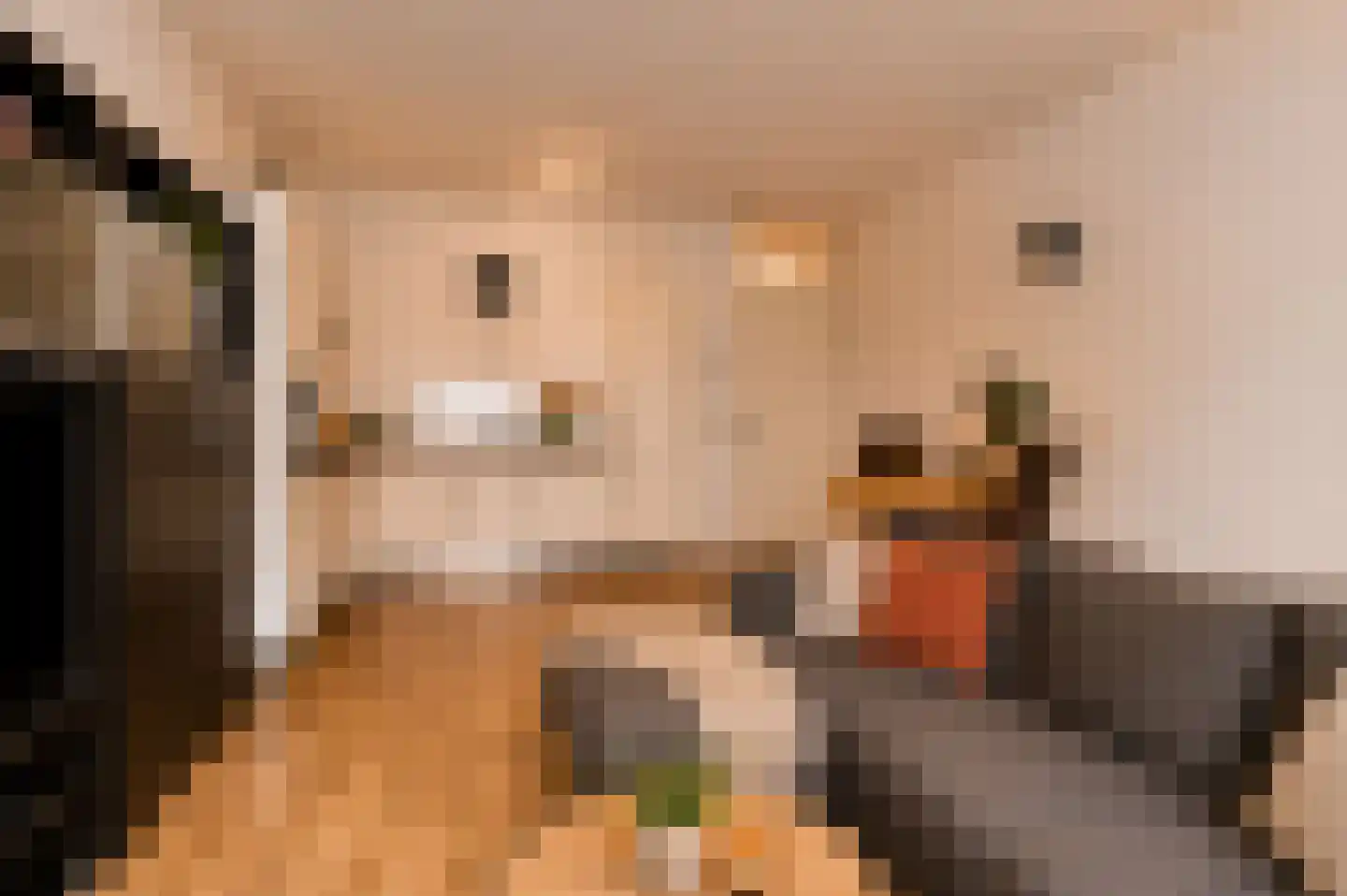 Gansstraat 38 Utrecht thumbnail 8
