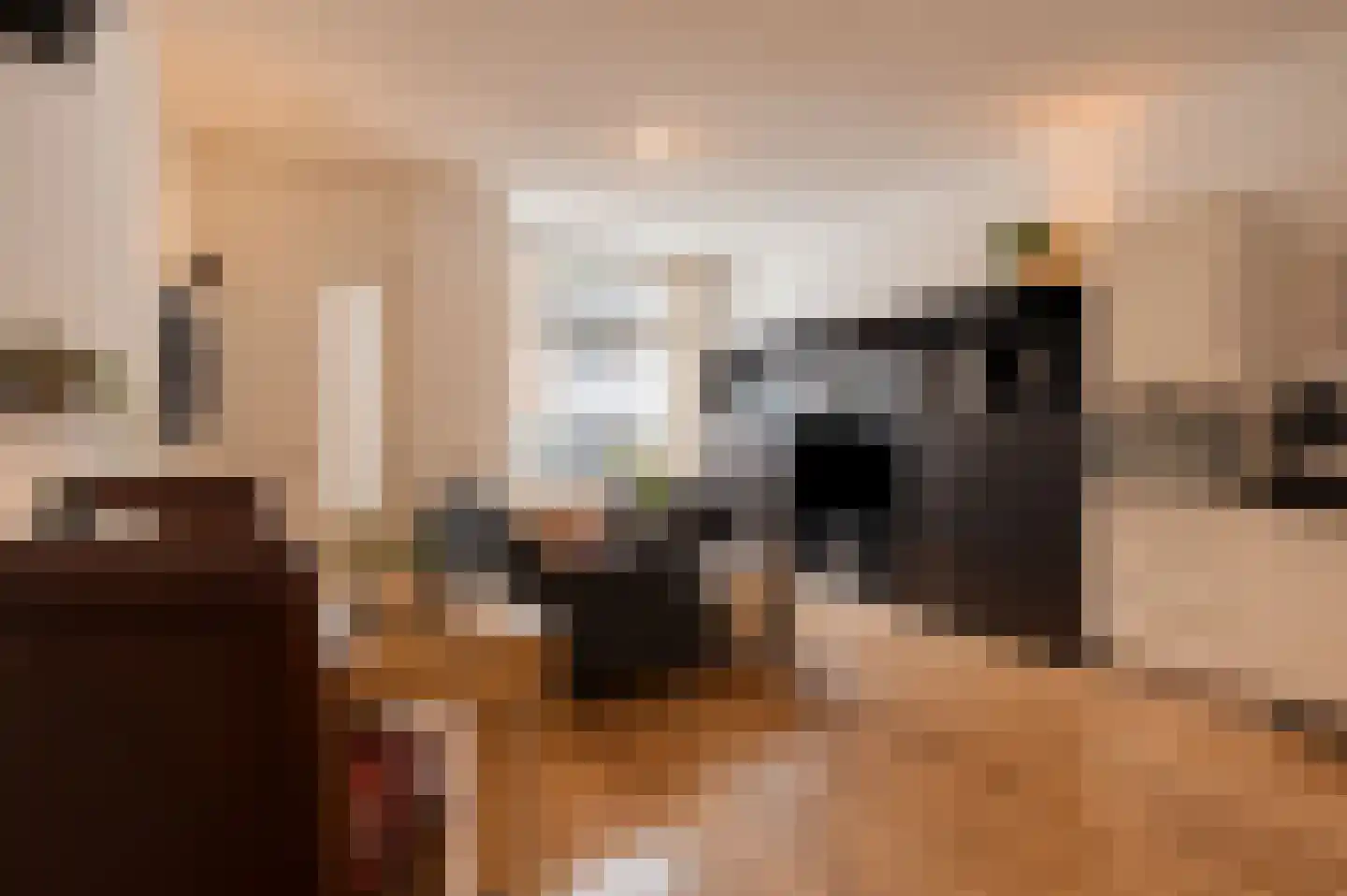 Gansstraat 38 Utrecht thumbnail 9