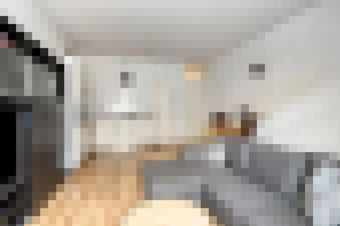 Gansstraat 38 Utrecht thumbnail 9