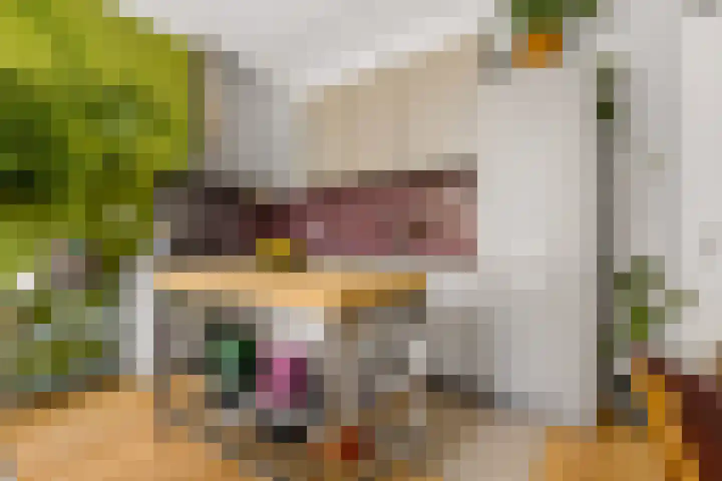 Gansstraat 42 Utrecht thumbnail 12