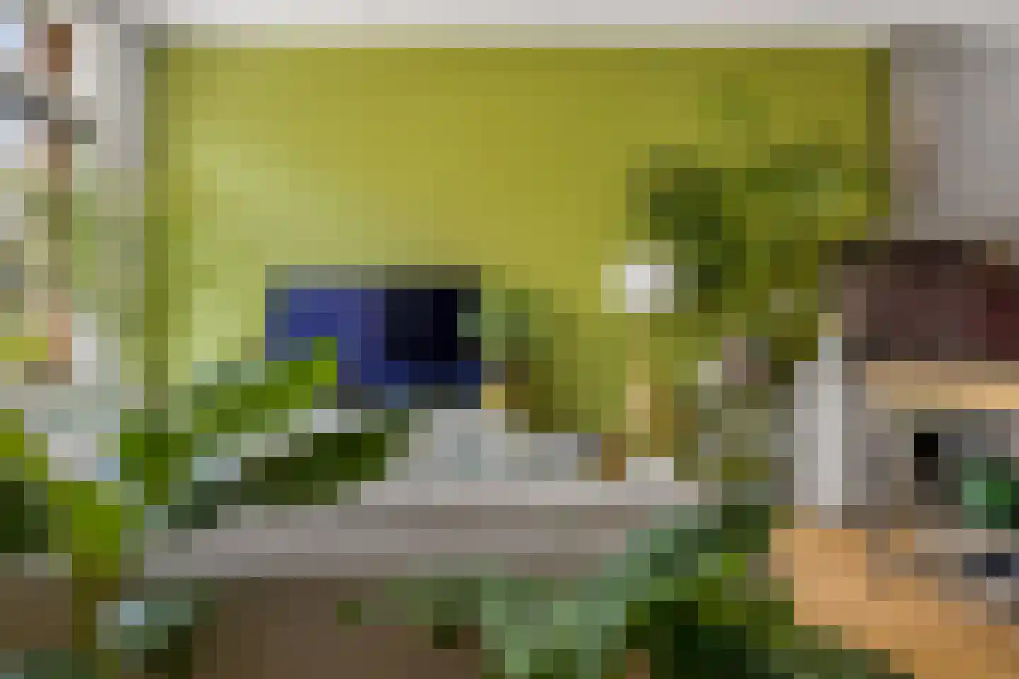 Gansstraat 42 Utrecht thumbnail 7