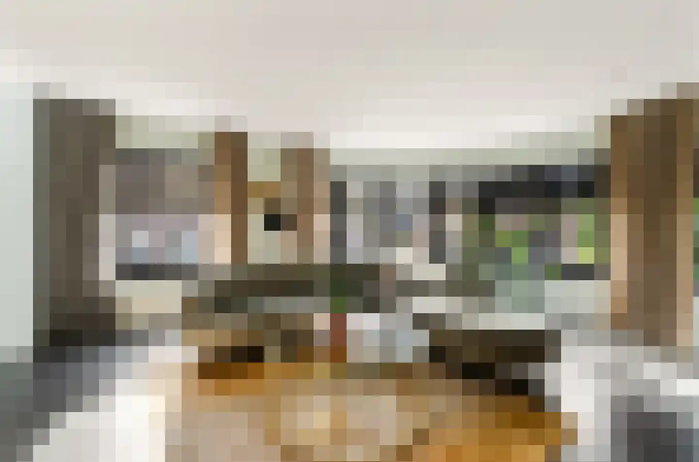 Gansstraat 50 A Utrecht thumbnail 18