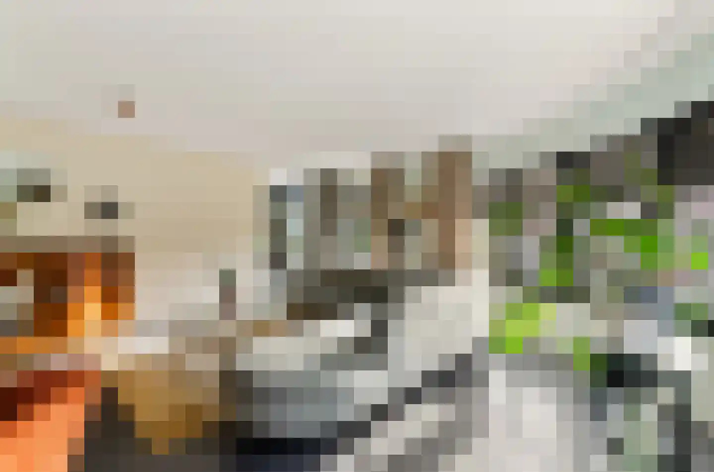 Gansstraat 50 A Utrecht thumbnail 19