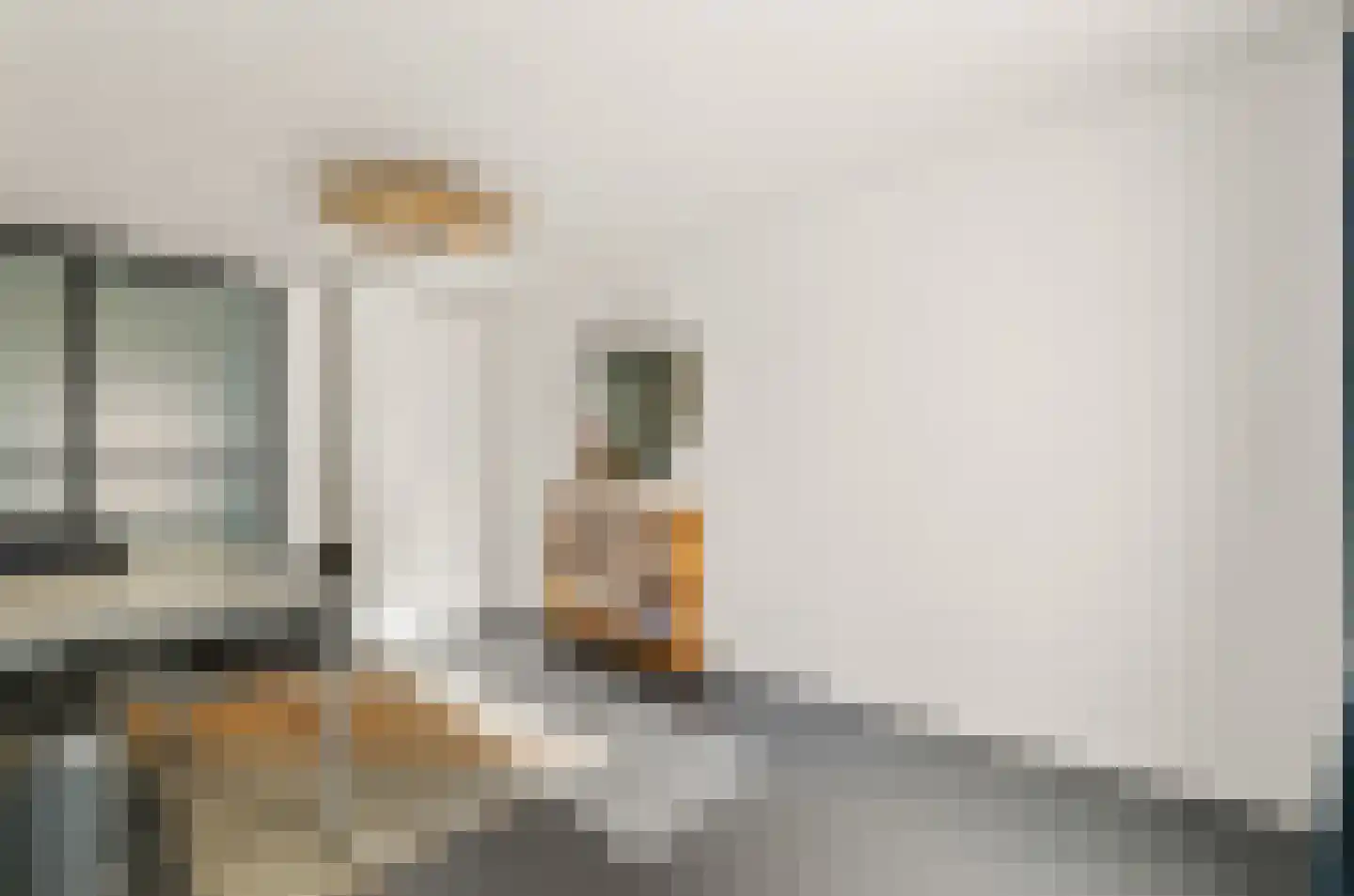 Gansstraat 50 A Utrecht thumbnail 38