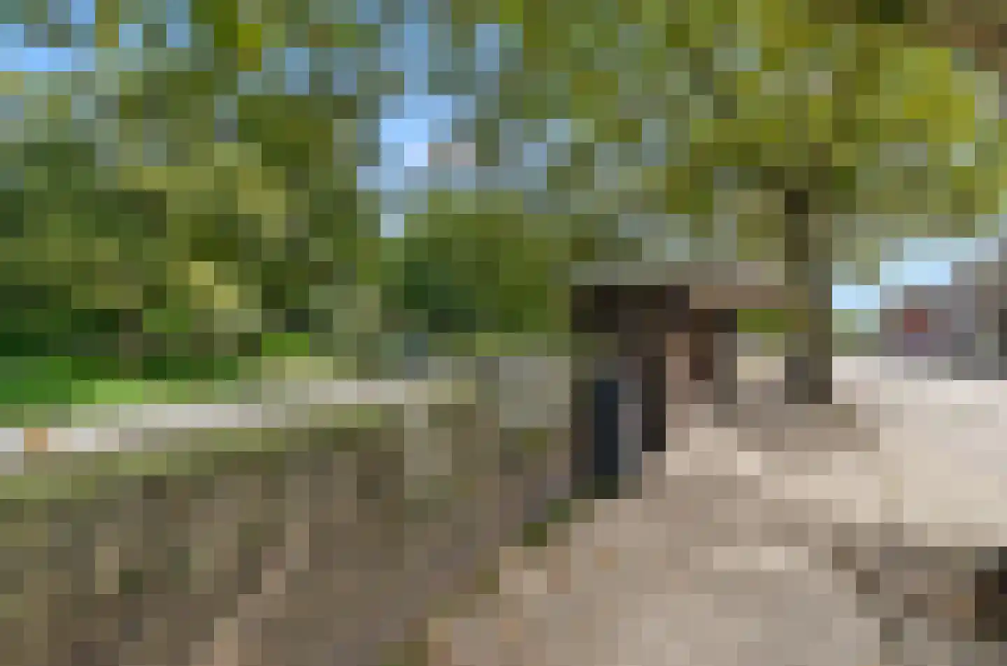 Gansstraat 50 A Utrecht thumbnail 47