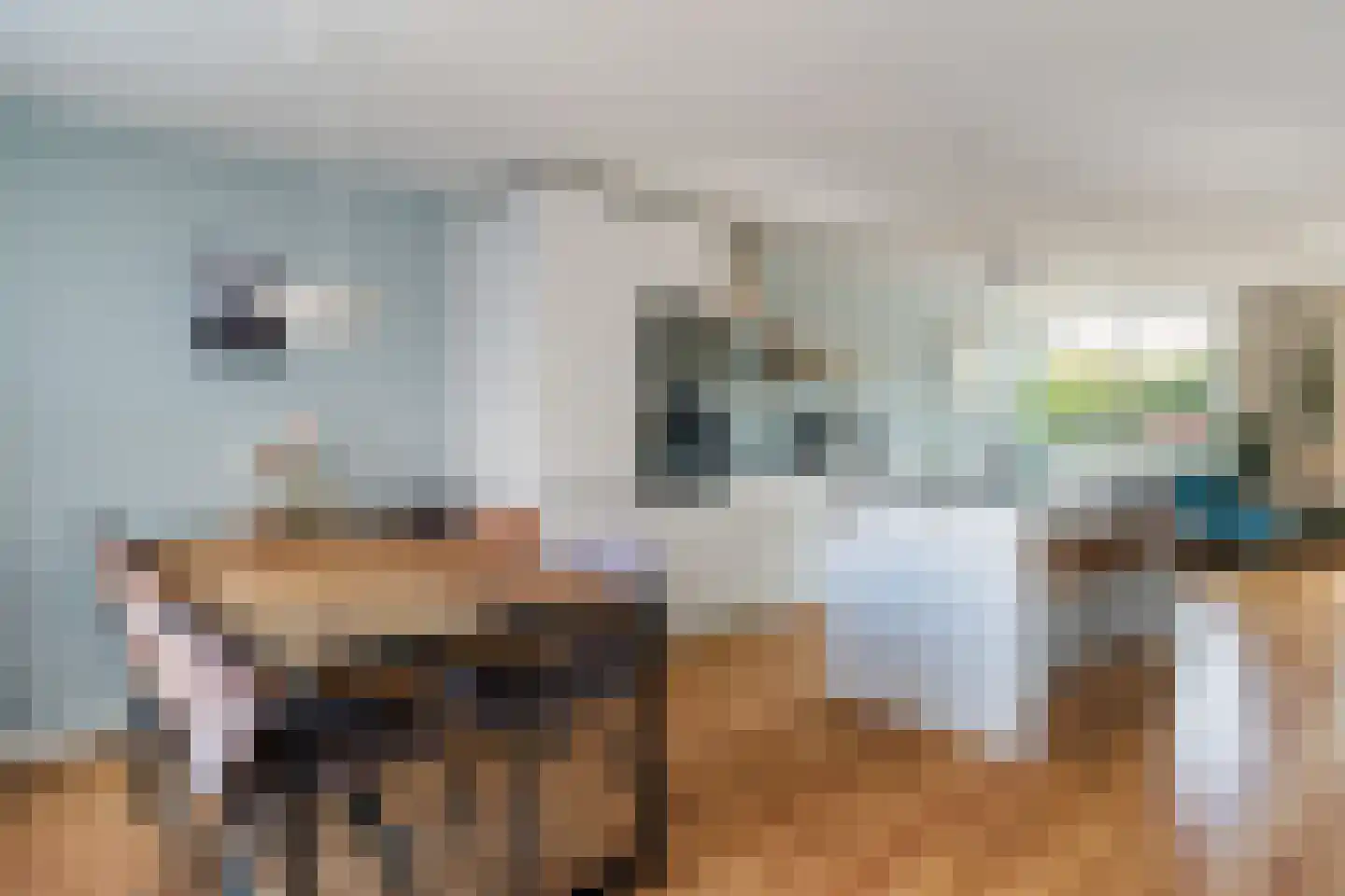 Gansstraat 50 B Utrecht thumbnail 13
