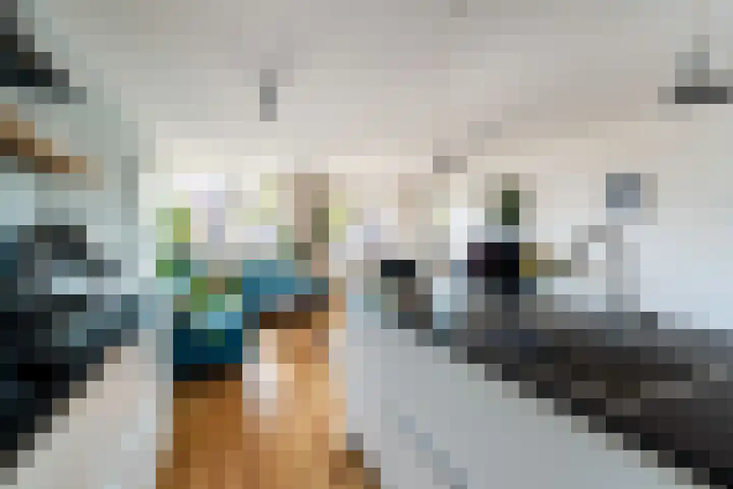 Gansstraat 50 B Utrecht thumbnail 20