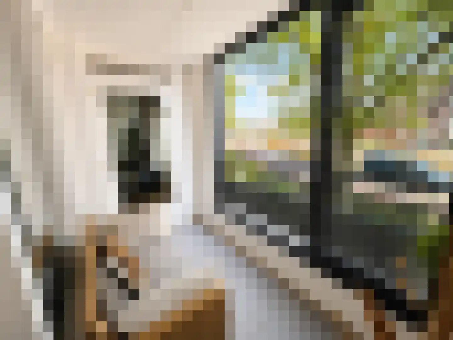 Gansstraat 50 B Utrecht thumbnail 28