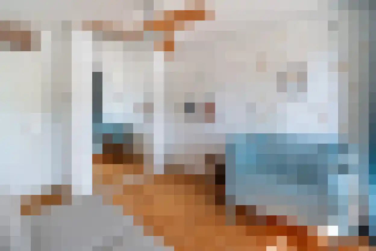 Gansstraat 50 B Utrecht thumbnail 32