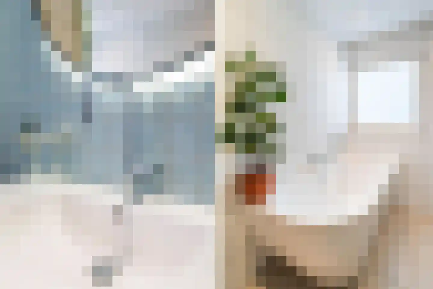 Gansstraat 50 B Utrecht thumbnail 36