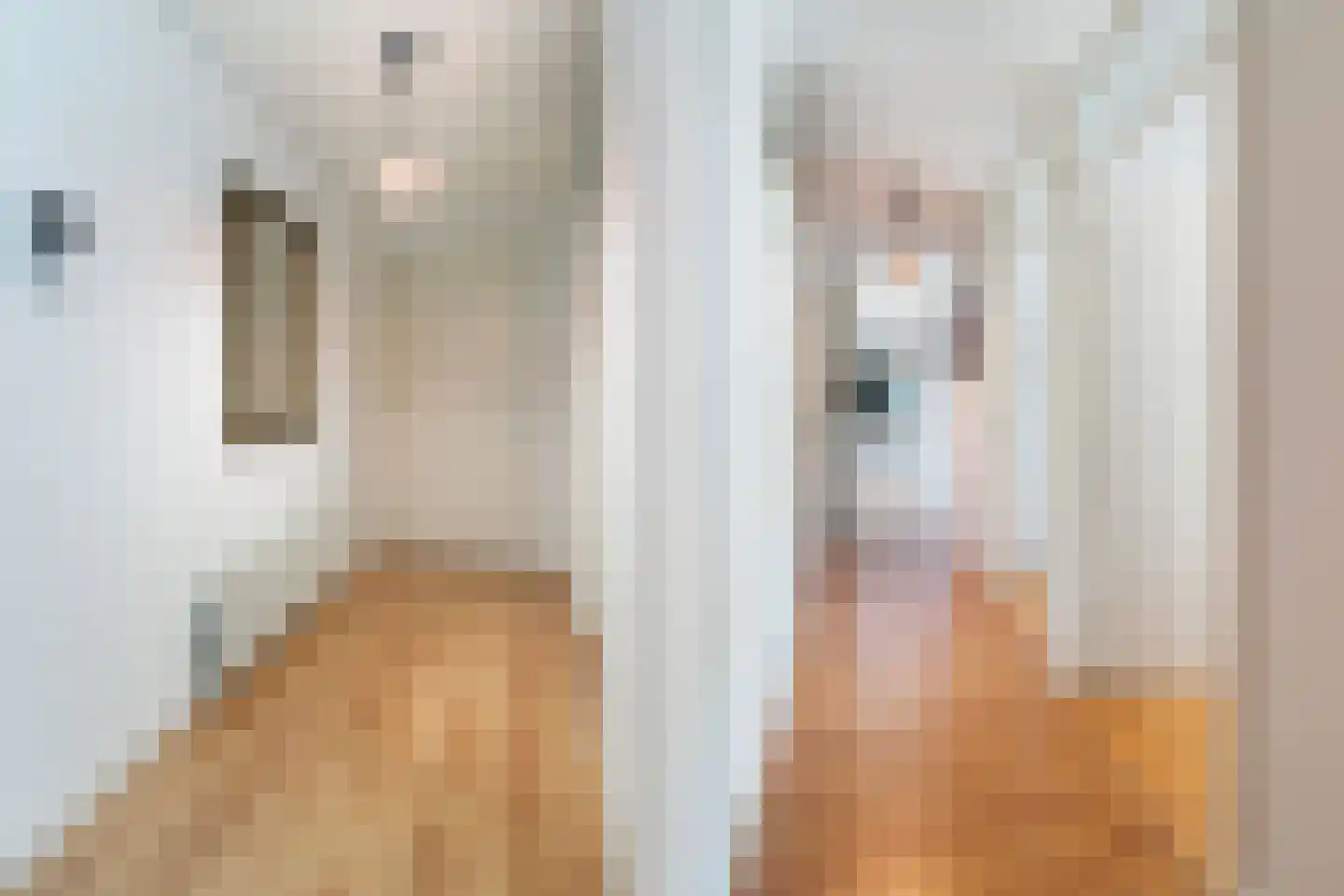 Gansstraat 50 B Utrecht thumbnail 9